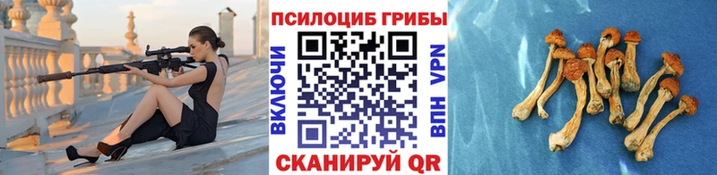 Галлюциногенные грибы ЛСД  Пущино 