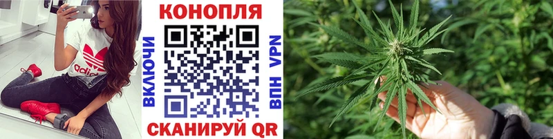 купить  цена  Пущино  Бошки Шишки MAZAR 